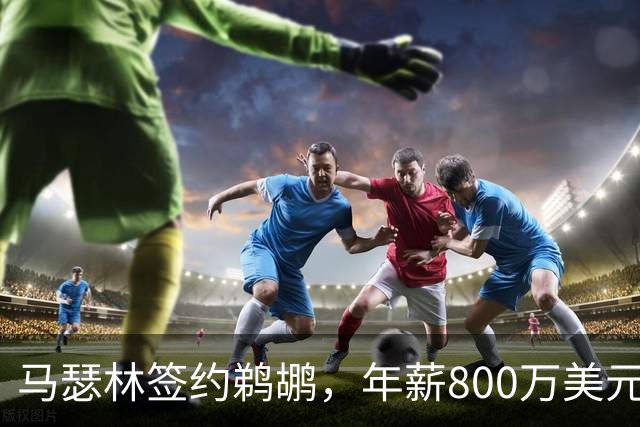马瑟林签约鹈鹕，年薪800万美元再图自由市场